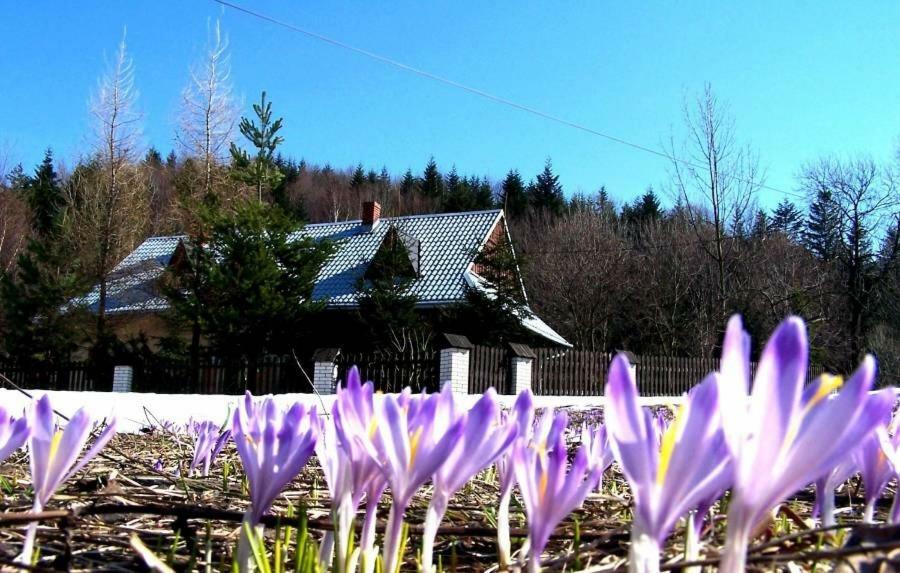 Goralska Czarcia Chata Pod Jalowcem Стрышава Экстерьер фото